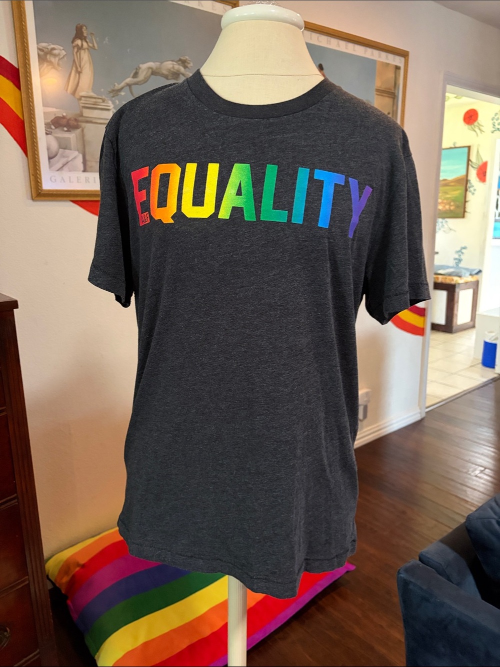 Abercrombie & Fitch Charcoal Tee with Rainbow "EQUALITY" Print
